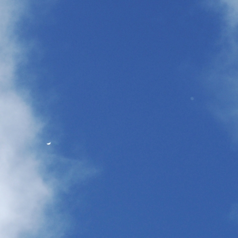 金星と木星の接近