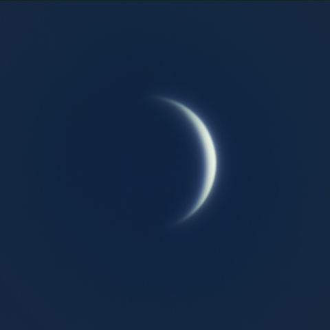 7/29金星