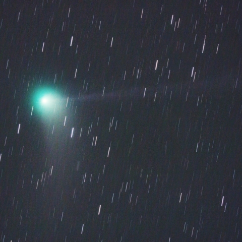 1/16カタリナ彗星