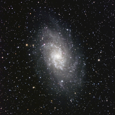 M33