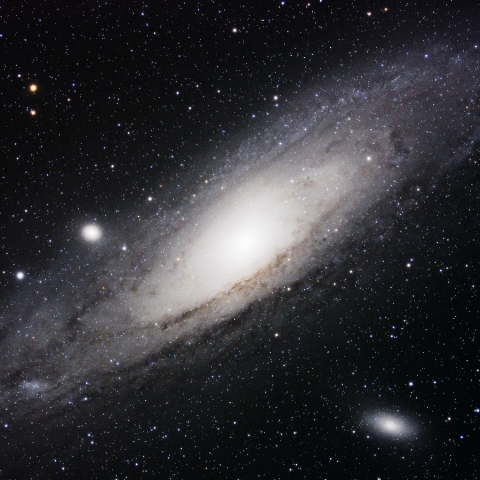 M31