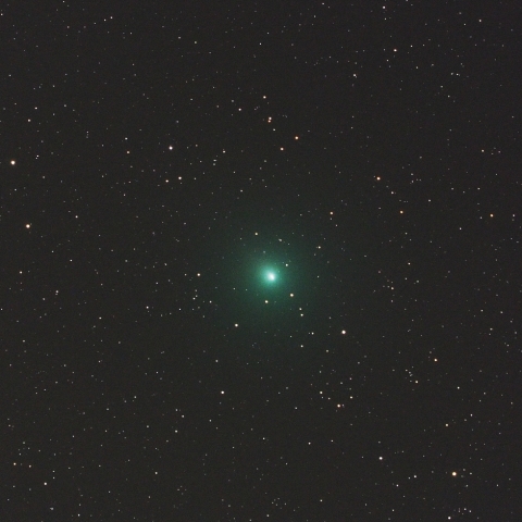 12/10 ウィルタネン彗星 (46P)