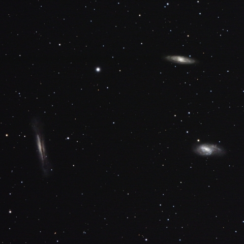 M65, 66, NGC3628