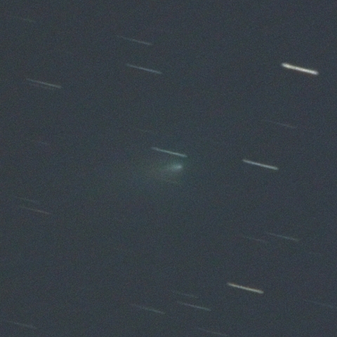 4/7 アトラス彗星