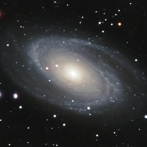 M81