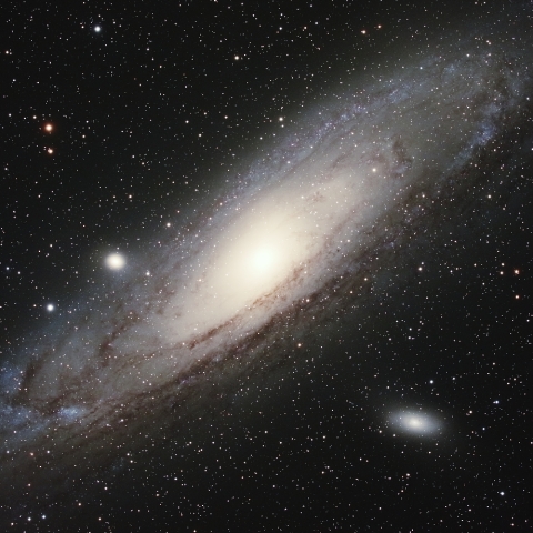 M31