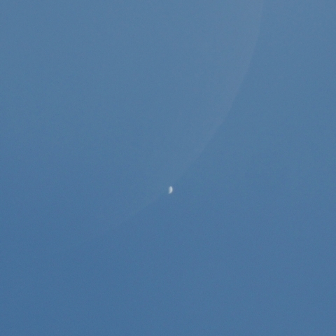 金星食