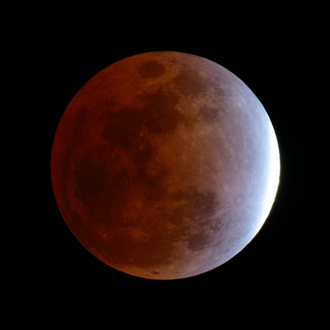 月食（ターコイズフリンジ）