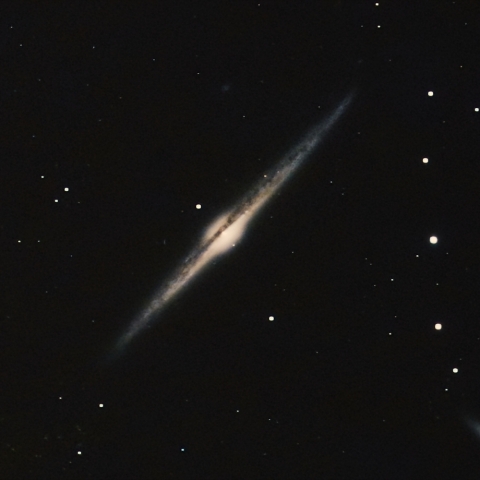 NGC 4565