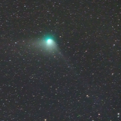 1/30　ZTF彗星（C/2022 E3）