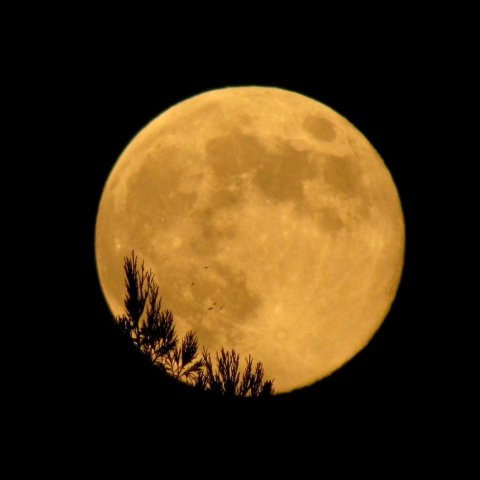 中秋の名月H23/09/12