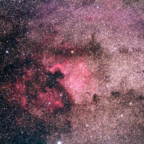 北アメリカ星雲周辺部