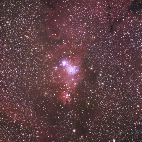 クリスマスツリー星団