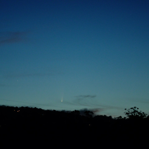 パンスターズ彗星