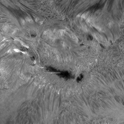 NOAA13576 Ｈα中心波長