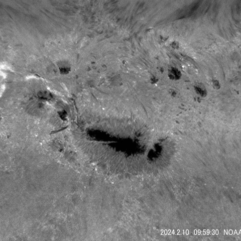 NOAA13576 Ｈα-0.3Åによるエラーマン・ボム