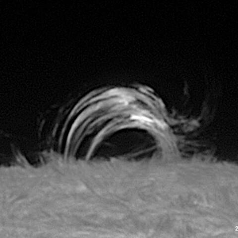 ポスト・フレアループ