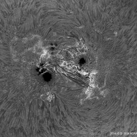 巨大黒点NOAA12192