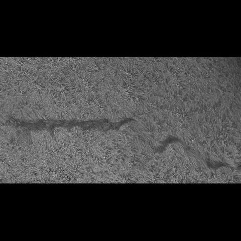 大きなフィラメント