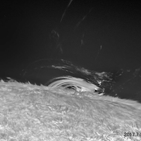 ループプロミネンス