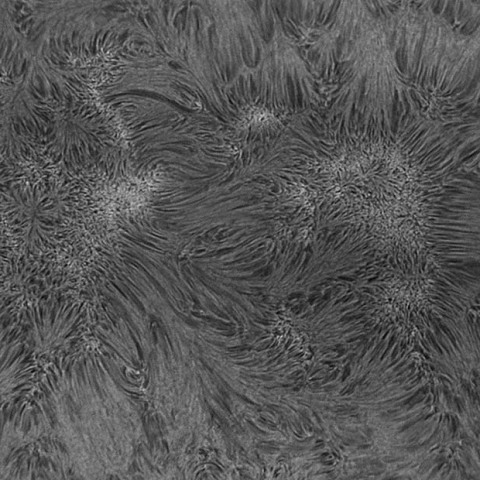 プラージュの多い太陽表面