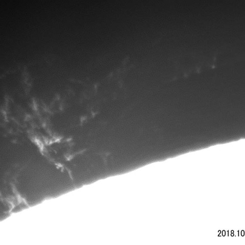 活動型プロミネンス