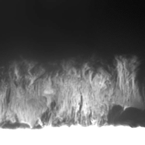 静穏型プロミネンス