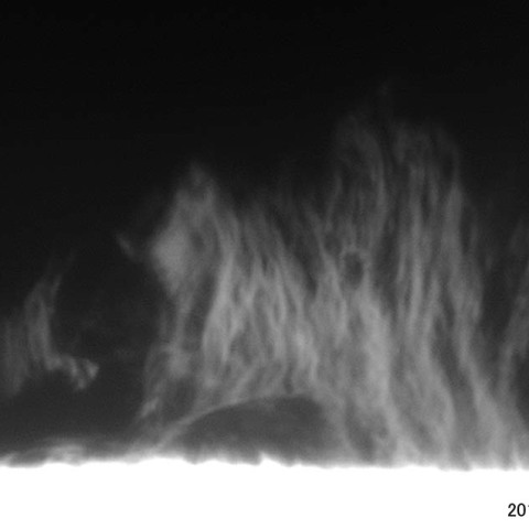 静穏型プロミネンス