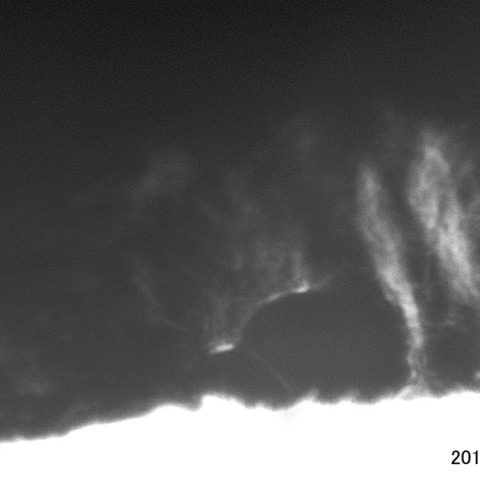 静穏型プロミネンス