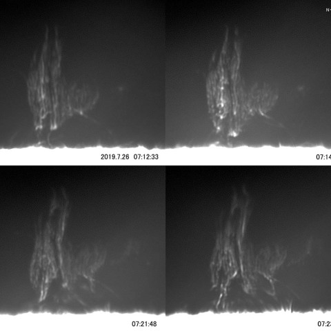 静穏型プロミネンス
