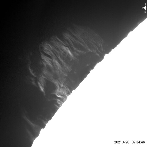 静穏型プロミネンス