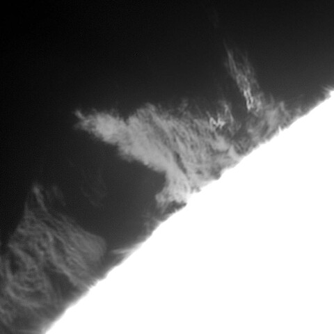 活動型プロミネンス