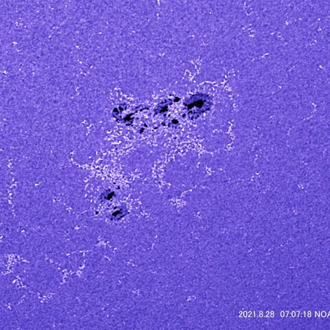 CaKによる黒点周辺 NOAA12860