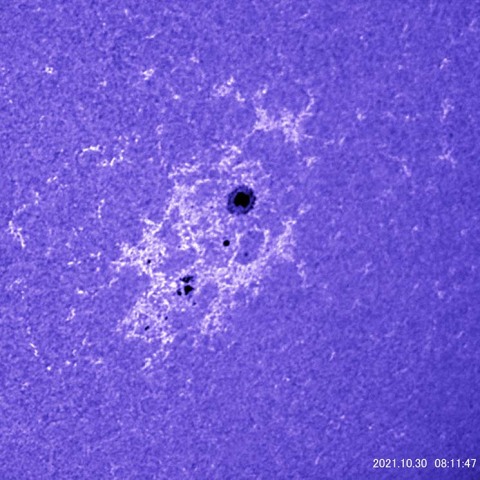 CaKによる黒点周辺 NOAA12887