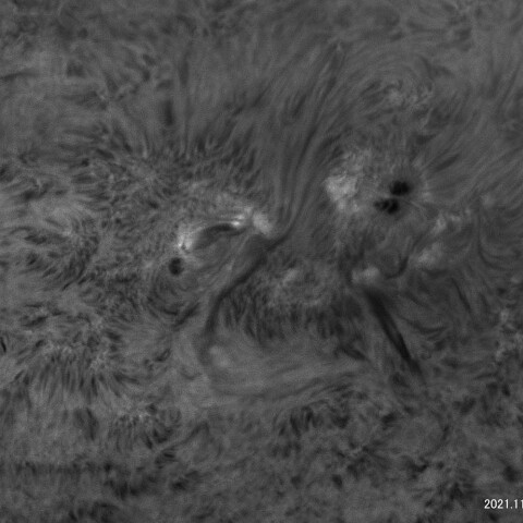 黒点周辺 NOAA12894