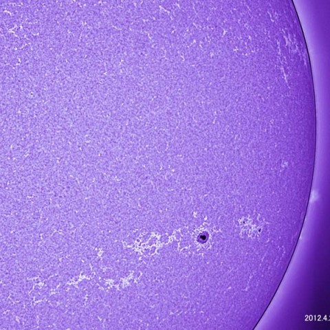 カルシウムK線での太陽面