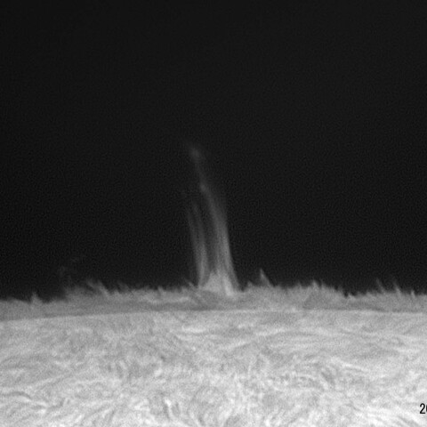 サージプロミネンス