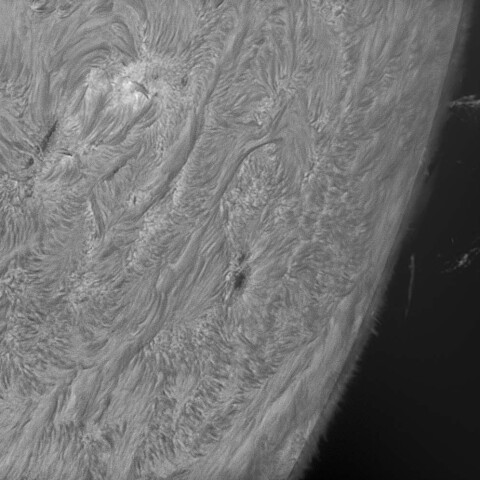 黒点NOAA13074/79とプロミネンス
