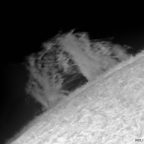 カルシウムＫ線による黒点とプロミネンス