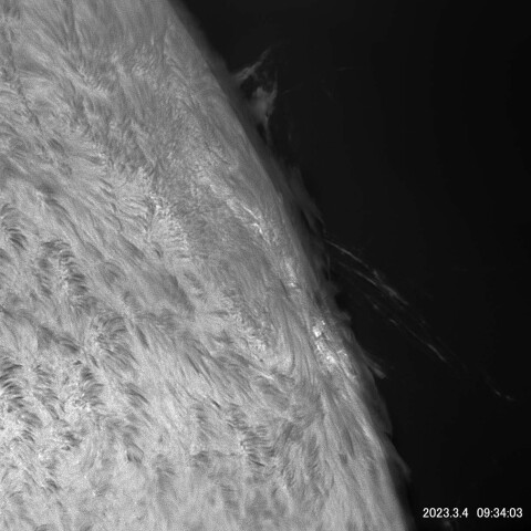 太陽面　NOAA13234の西没