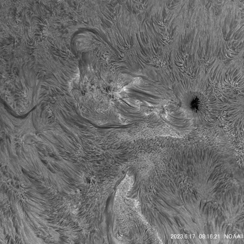 太陽面NOAA13335/36