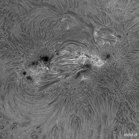 太陽面NOAA13354/51