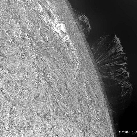 ループ・プロミネンス