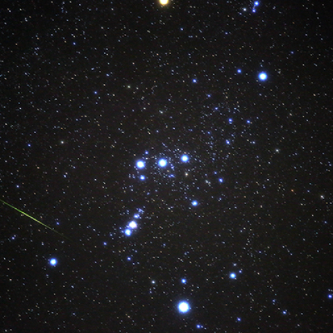 オリオンとしし座流星群