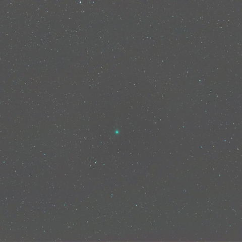 ラブジョイ彗星