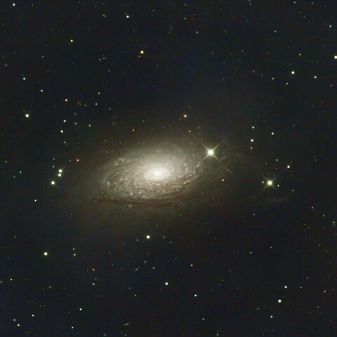 ひまわり銀河 M63 （LRGB合成）