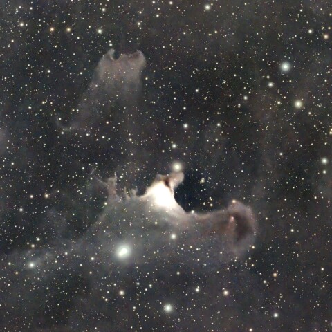 コースト星雲　バンザイ星雲　SH2-136