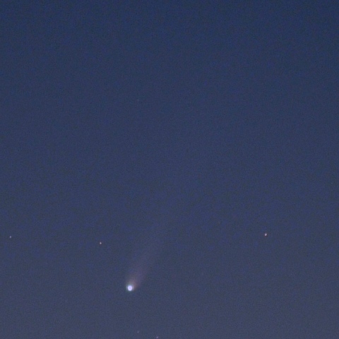 アイソン彗星（11/23）