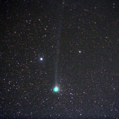 今が旬のジャック彗星