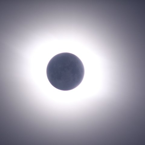 コロナと地球照